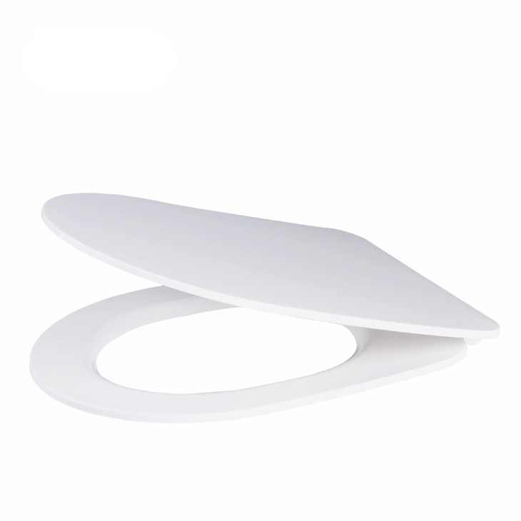 toilet-seat-d-shape