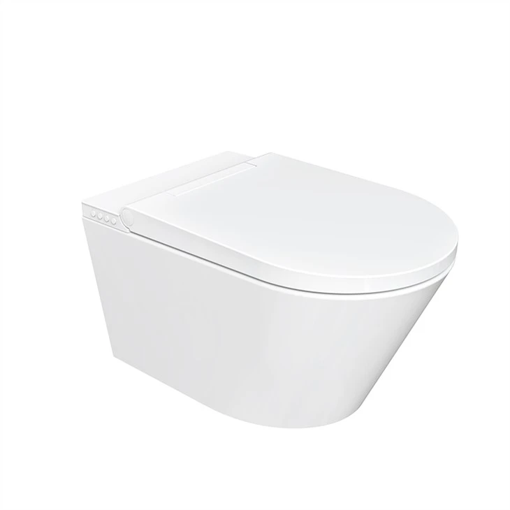 smart wc
