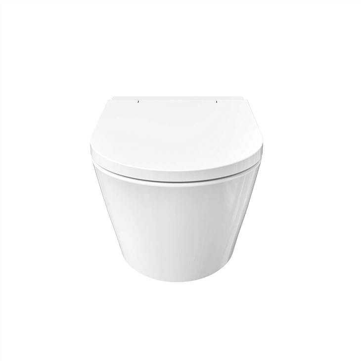 smart toilet with bidet wash function